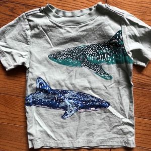 Tea Collection boy’s shark shirt. Size 3